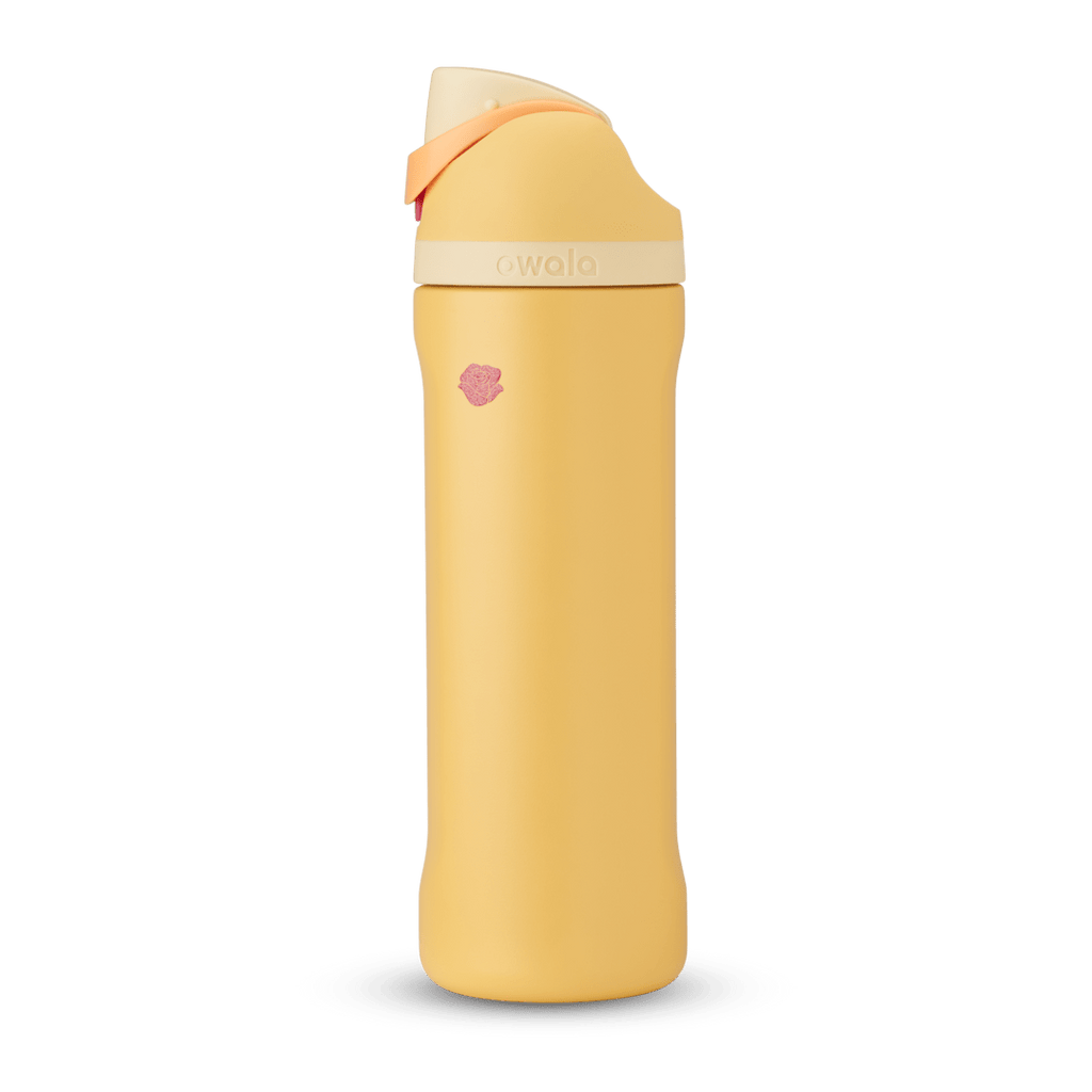 Disney Princess Collection Water Bottle MK90GV