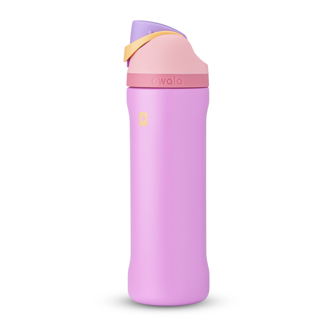 Disney Princess Collection Water Bottle MK90GV