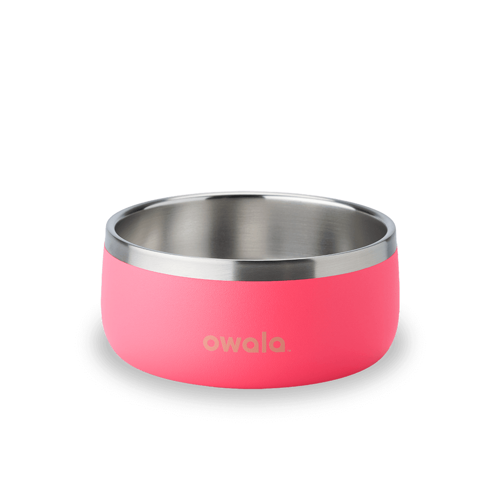 Pet Bowl Water Bottle 123STW0