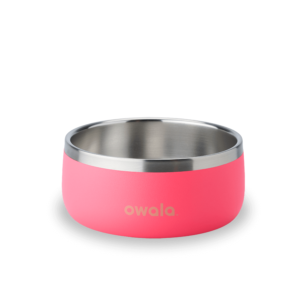 Pet Bowl Water Bottle 123STW0