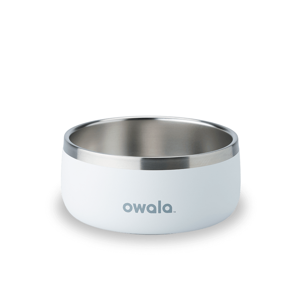 Pet Bowl Water Bottle 123STW0