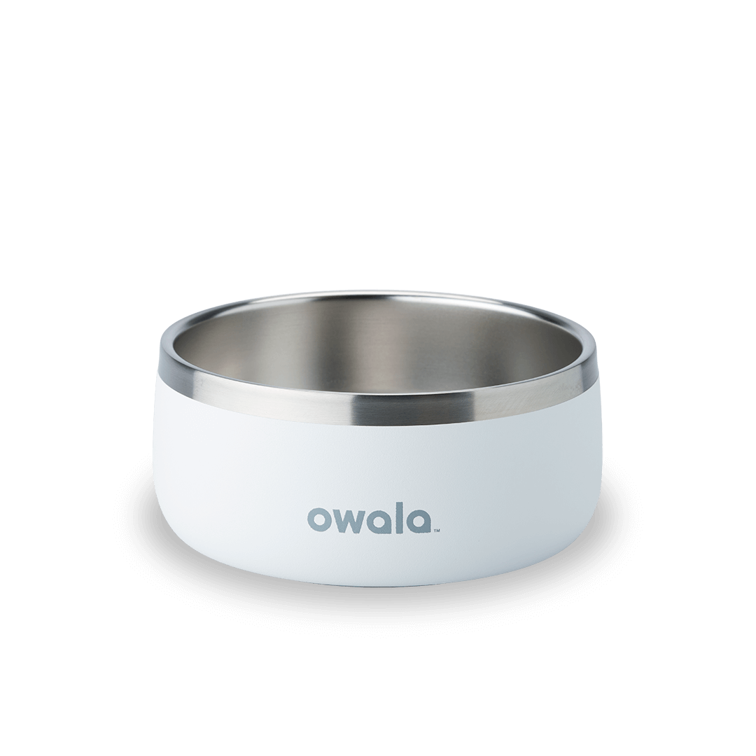 Pet Bowl Water Bottle 123STW0