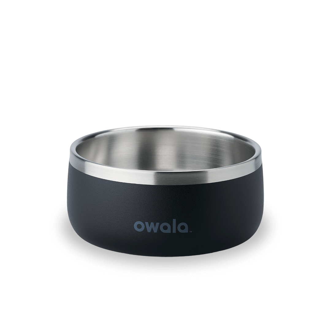 Pet Bowl Water Bottle 123STW0