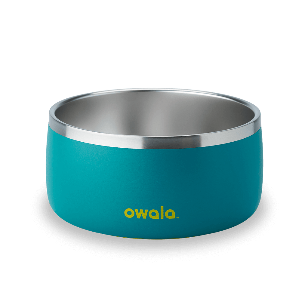 Pet Bowl Water Bottle 123STW0