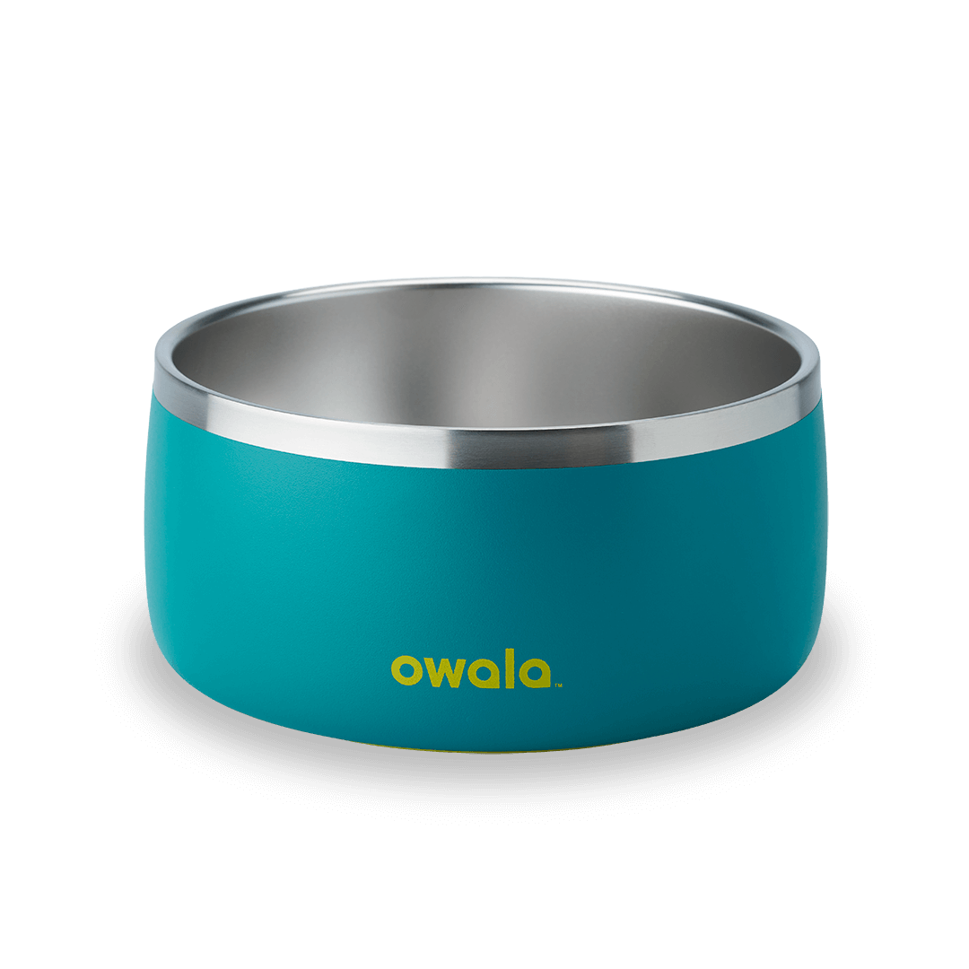 Pet Bowl Water Bottle 123STW0